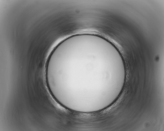 X0000100201470200805300736