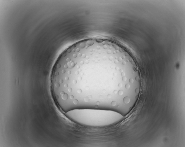 X0000100201471200805300736