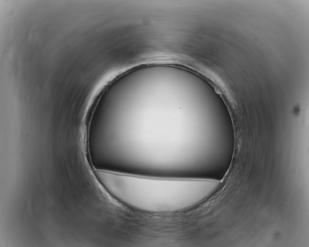 X0000100201472200805300736