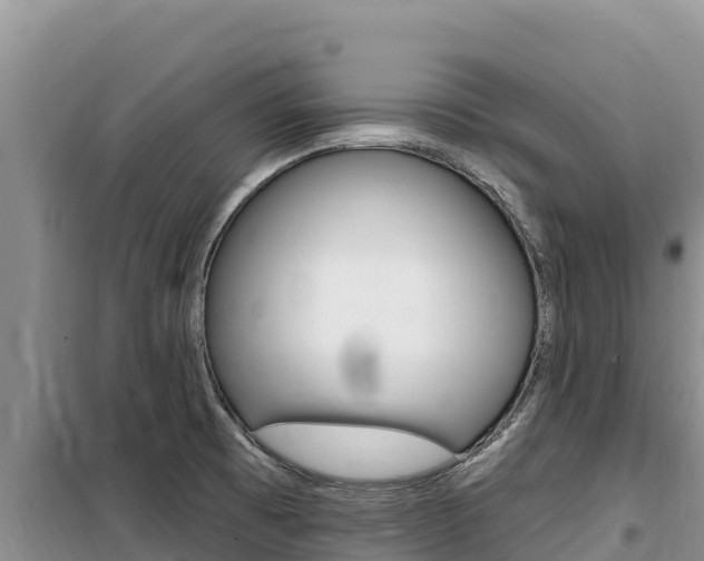 X0000100201473200805300736