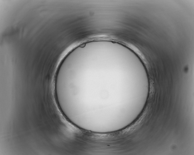 X0000100201474200805300736