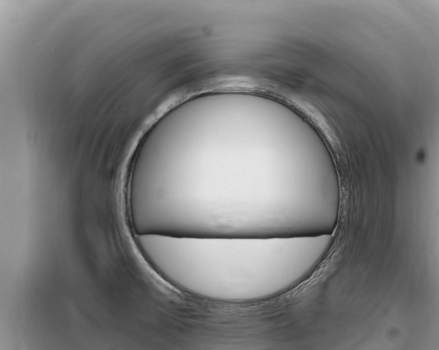 X0000100201475200805300736