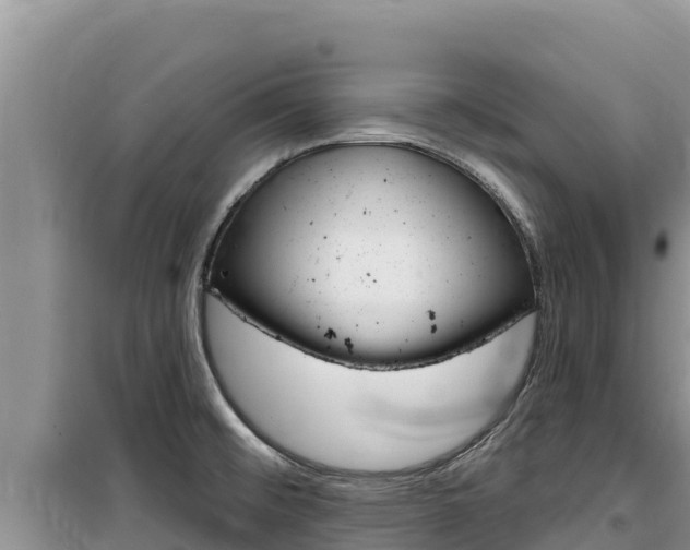 X0000100201476200805300736