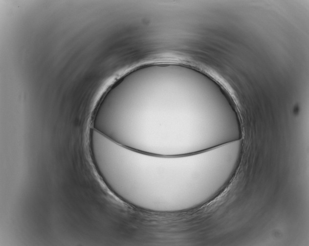 X0000100201477200805300736