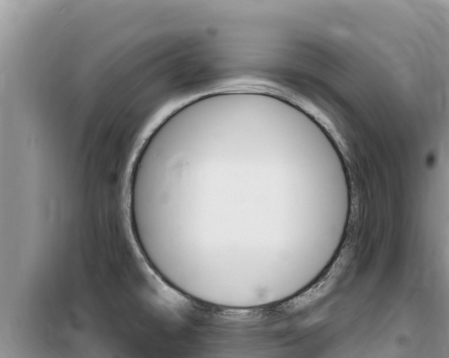 X0000100201478200805300736