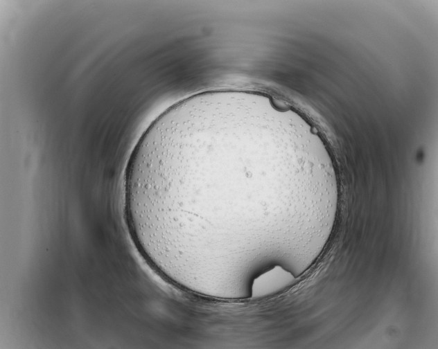 X0000100201479200805300736