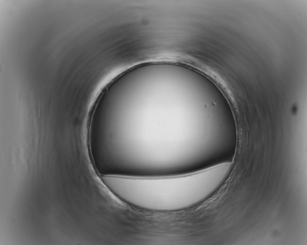 X0000100201480200805300736