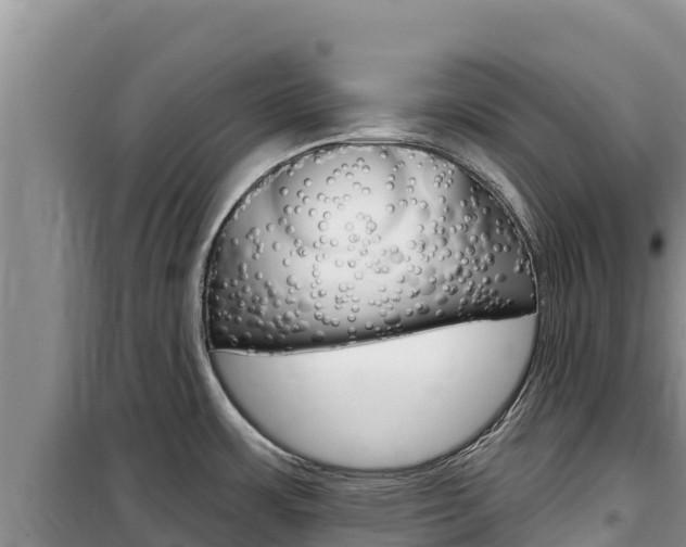 X0000100201483200805300736
