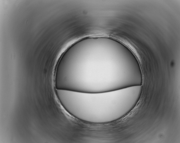 X0000100201485200805300736