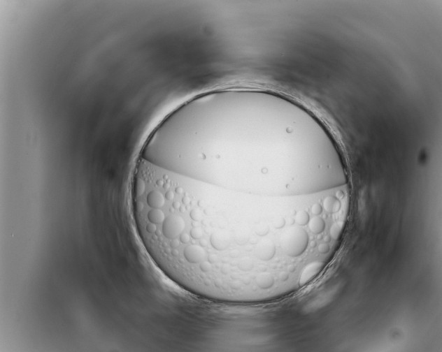 X0000100201486200805300736