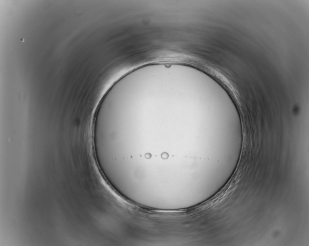 X0000100201487200805300736