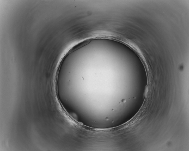 X0000100201488200805300736