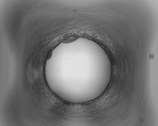 X0000100201489200805300735
