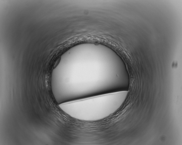X0000100201490200805300735