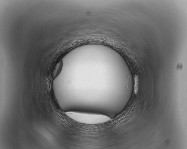 X0000100201491200805300735