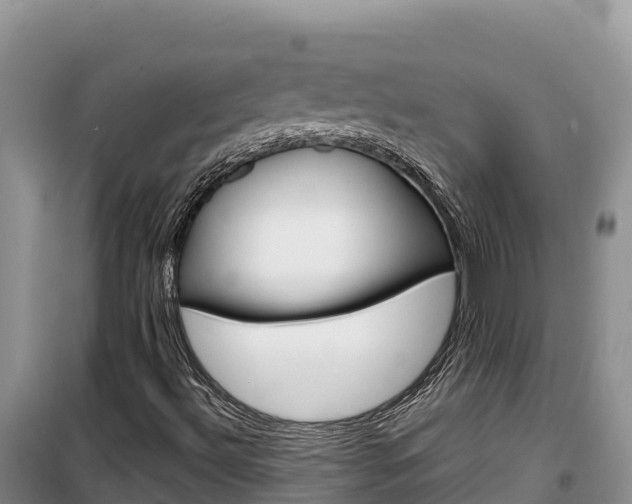 X0000100201492200805300735