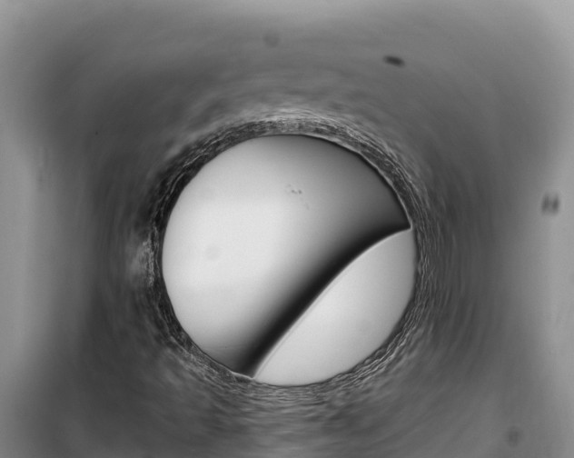 X0000100201493200805300735