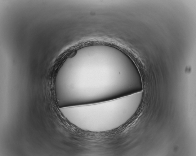 X0000100201494200805300735