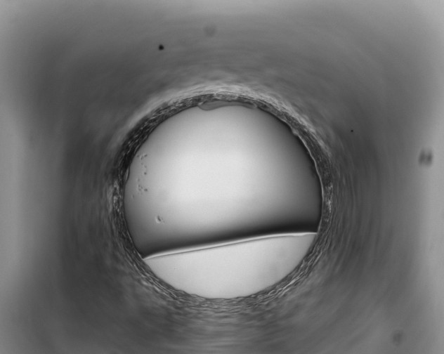 X0000100201495200805300735