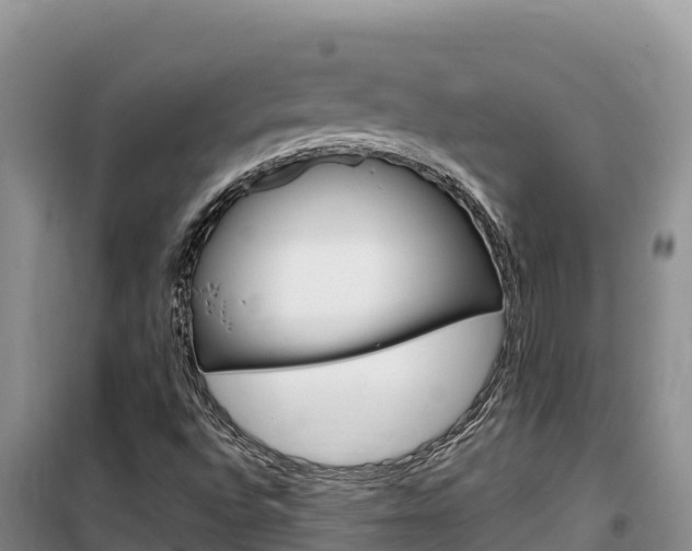 X0000100201496200805300735