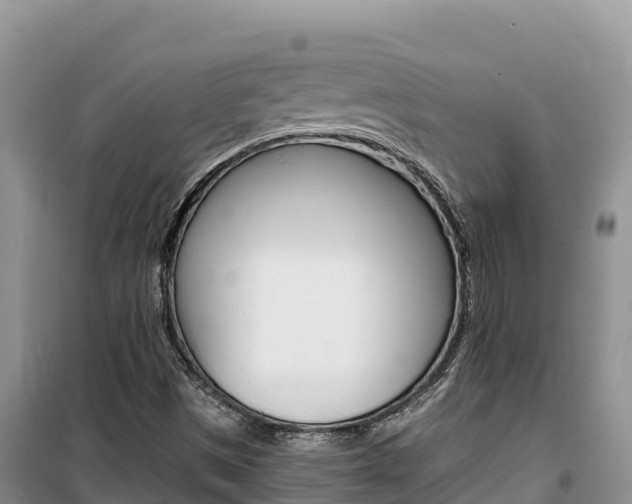 X0000100201497200805300735