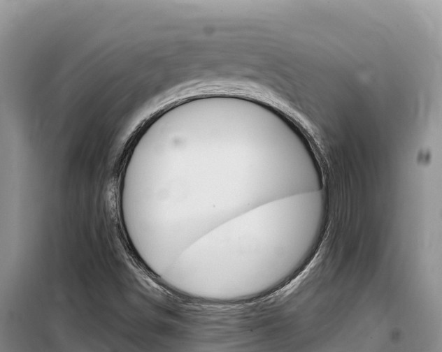 X0000100201498200805300735