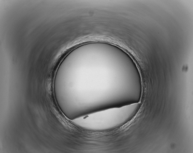 X0000100201499200805300735