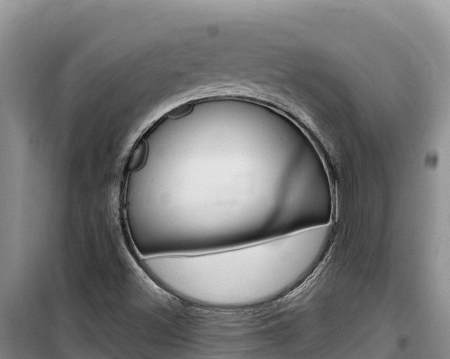 X0000100201500200805300735
