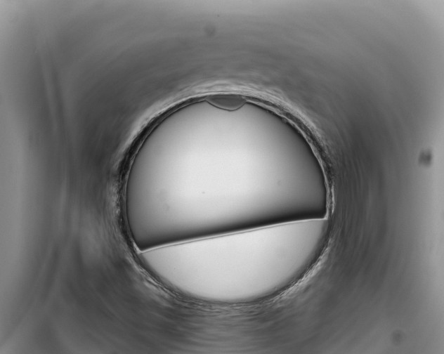 X0000100201501200805300735