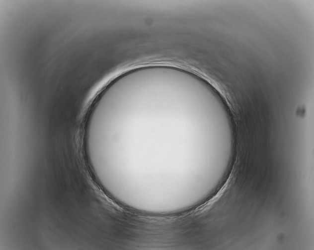 X0000100201502200805300735