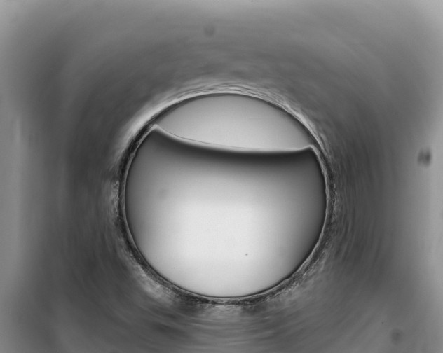 X0000100201503200805300735