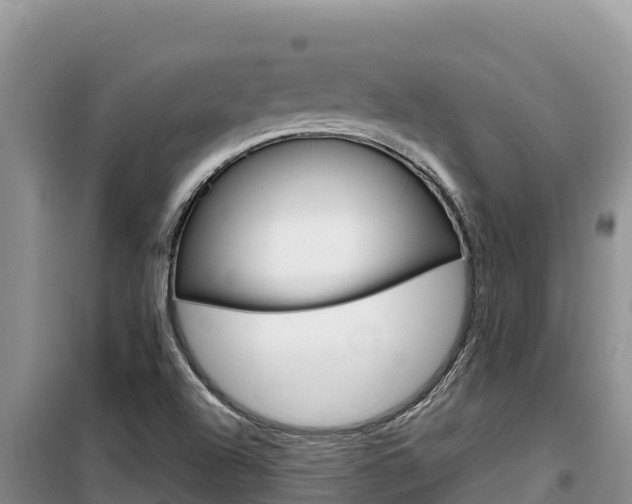 X0000100201504200805300735