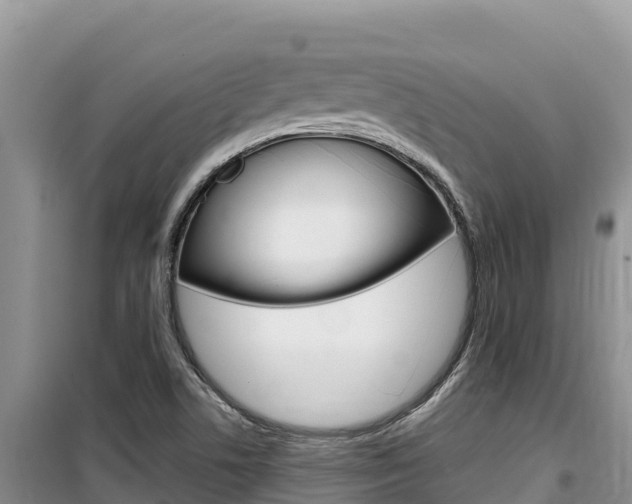 X0000100201506200805300735