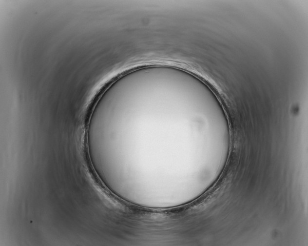 X0000100201507200805300736