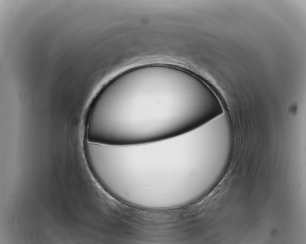 X0000100201508200805300736