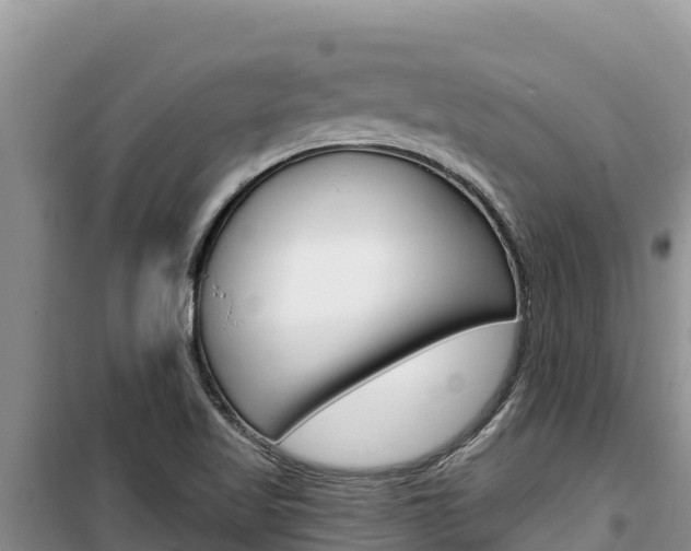 X0000100201509200805300736