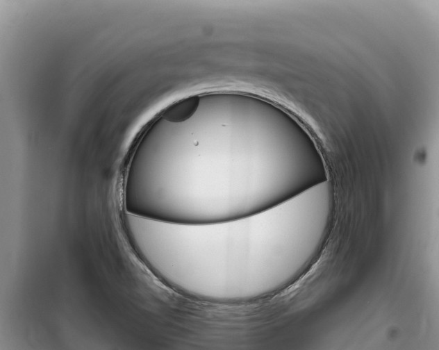 X0000100201510200805300736
