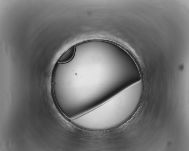 X0000100201512200805300736