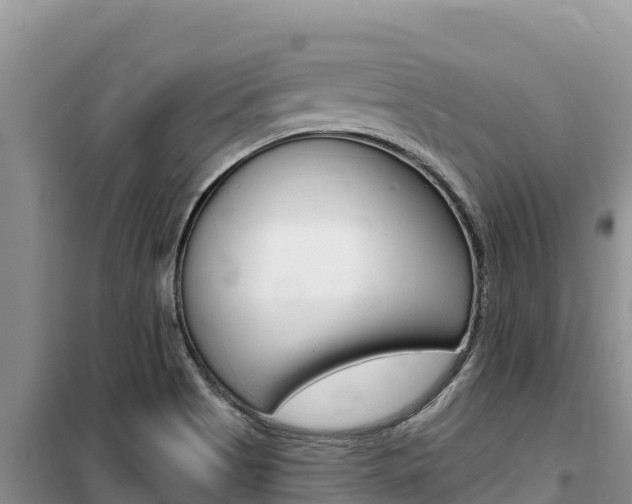 X0000100201513200805300736