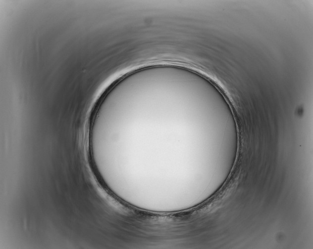 X0000100201515200805300736