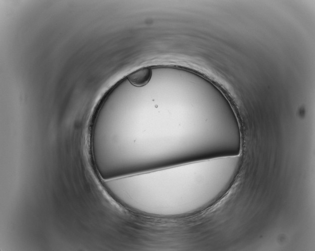 X0000100201517200805300736