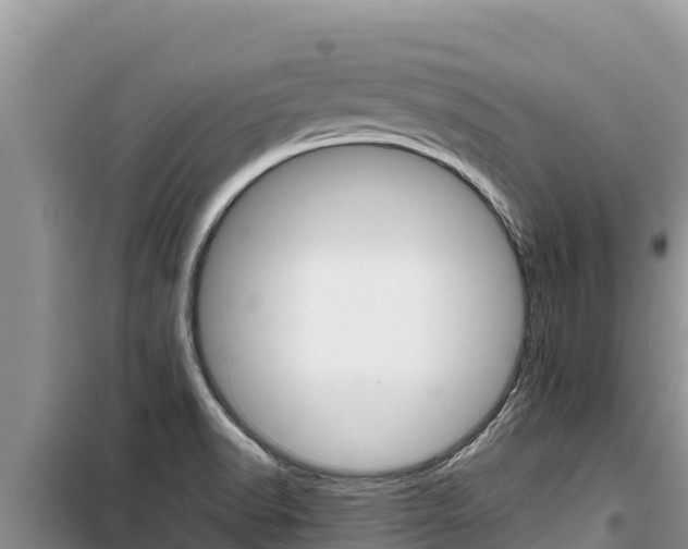 X0000100201518200805300736