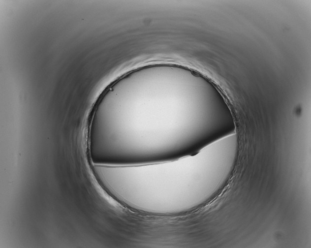 X0000100201519200805300736