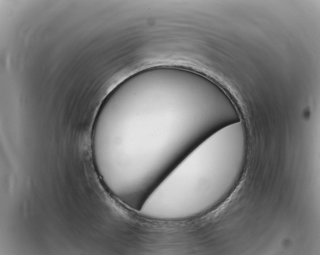 X0000100201521200805300736