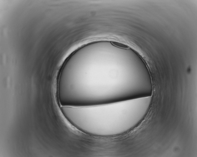 X0000100201523200805300736