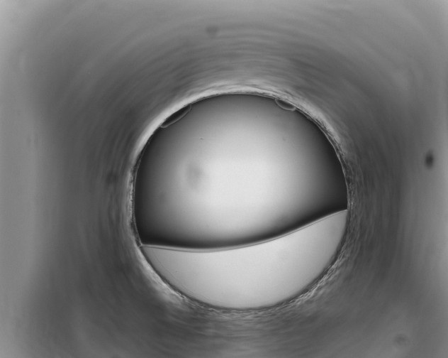 X0000100201524200805300736