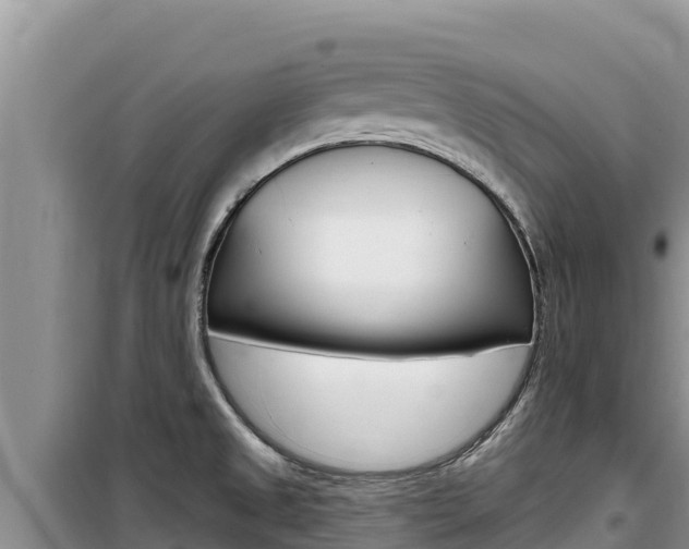 X0000100201525200805300736