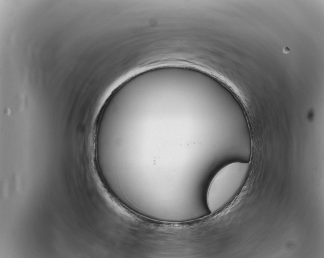 X0000100201526200805300736