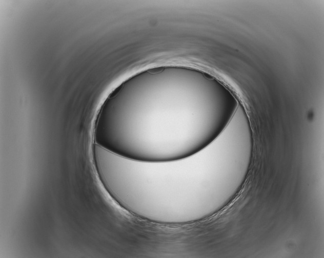 X0000100201528200805300736
