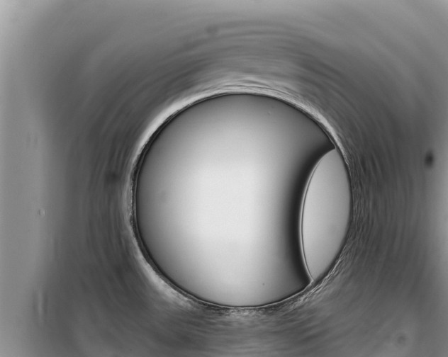 X0000100201531200805300736